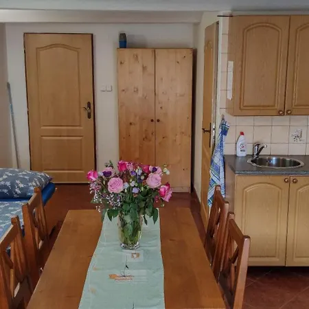 Na Koskach Apartment